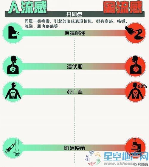 全球关注，最新流感传播及应对策略