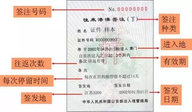 澳门一码中精准一码的投注技巧,高效实施方法解析_户外版64.949