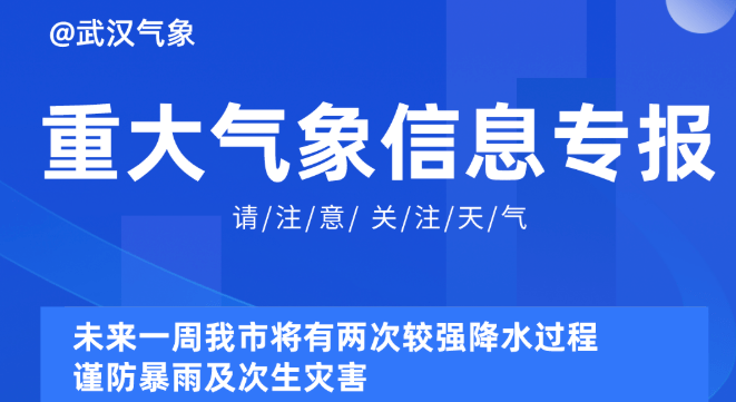 新奥精准资料免费提供,可持续执行探索_粉丝款29.315