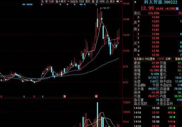 香港今晚开什么特马,经典解释落实_Pixel81.126