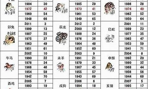 2024十二生肖49码表,动态解析词汇_苹果62.370