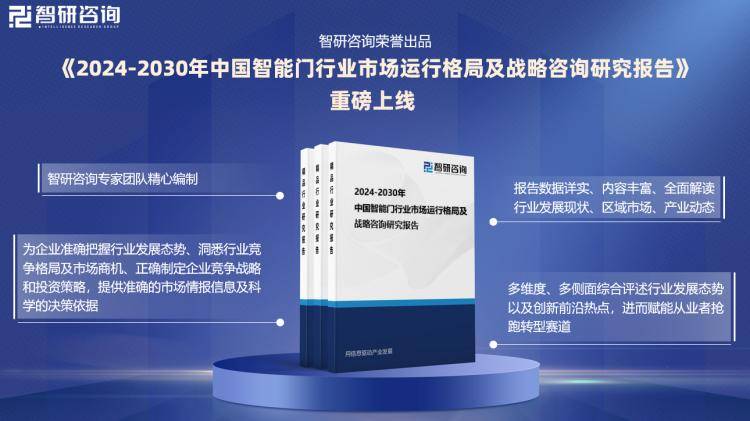 2024新奥精准正版资料,快捷问题解决指南_Advance98.967