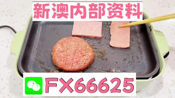 新澳内部一码精准公开,动态调整策略执行_铂金版67.921