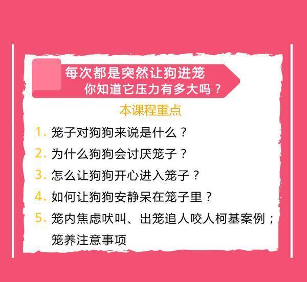 2024年新溪门天天开彩,本文将深入探讨这一活动的背景、意义以及对当地社会经济的多重影响