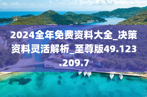 2024年资料免费大全,决策资料解释落实_VR75.292