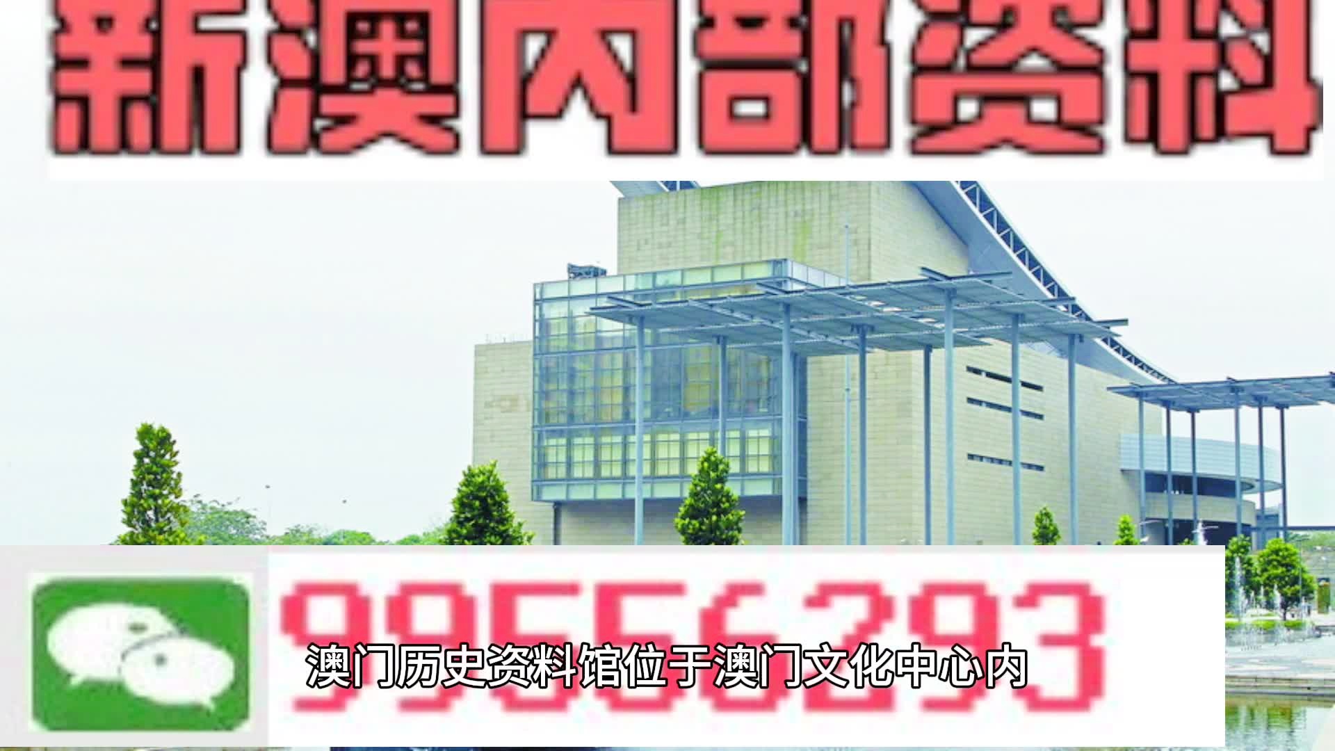 新澳门天天彩2024年全年资料,全面解答解释落实_pro44.729